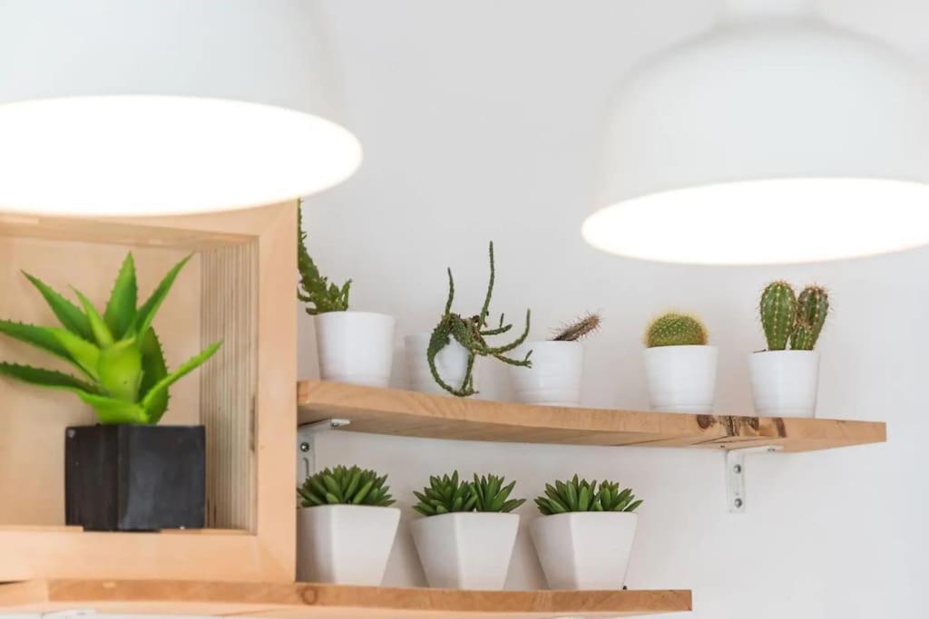 Inlapa Studio VI Porto Garden 외부 사진