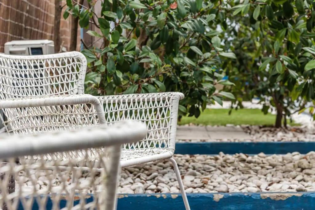 Inlapa Studio VI Porto Garden 외부 사진